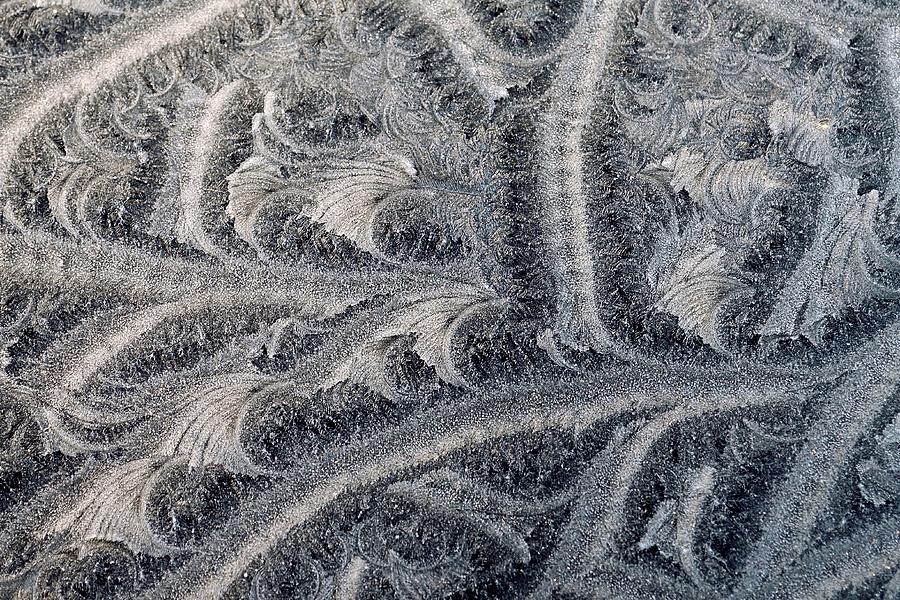 Extraordinary Hoarfrost Scallop Patterns in Black and White Photograph by Kim Bemis