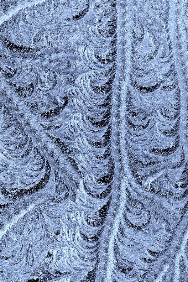 Hoar Frost Brush Stroke Patterns in blue Photograph by Kim Bemis