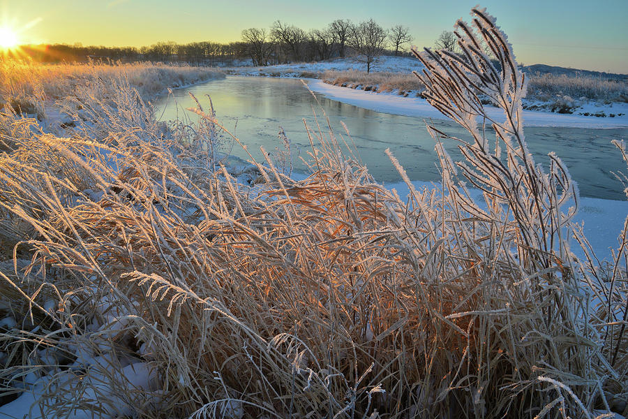 Hoarfrost along Nippersink Creek in Glacial Park Photograph by Ray Mathis