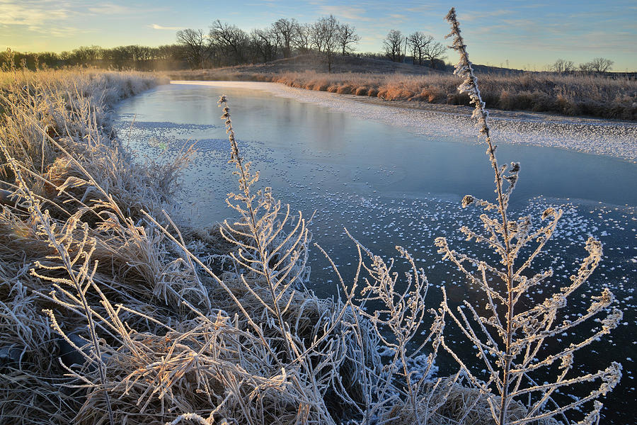 Hoarfrost along Nippersink Creek on a Subzero Morning in Glacial Park Photograph by Ray Mathis