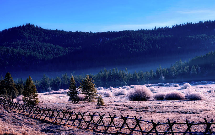 Hoarfrost In Squaw Valley, California Photograph by Mountain Dreams