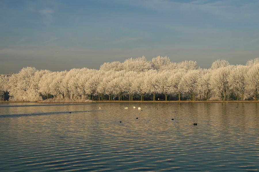 Hoarfrost under the morning sun Photograph by Erin Larcher