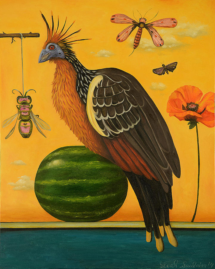 Bird Painting - Hoatzin 2 by Leah Saulnier The Painting Maniac