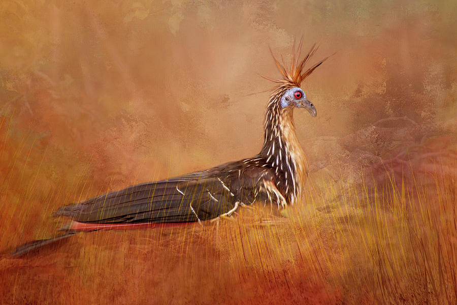 Hoatzin - Stinky Turkey Digital Art by Terry Davis