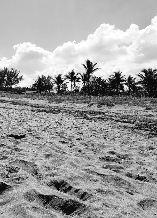 Hobe Sound Beach Photograph by Tina Naylor Fine Art America