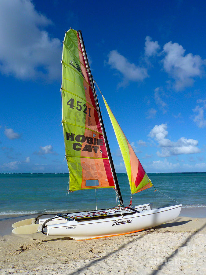 Hobie Can and Sea Photograph by Francesca Mackenney