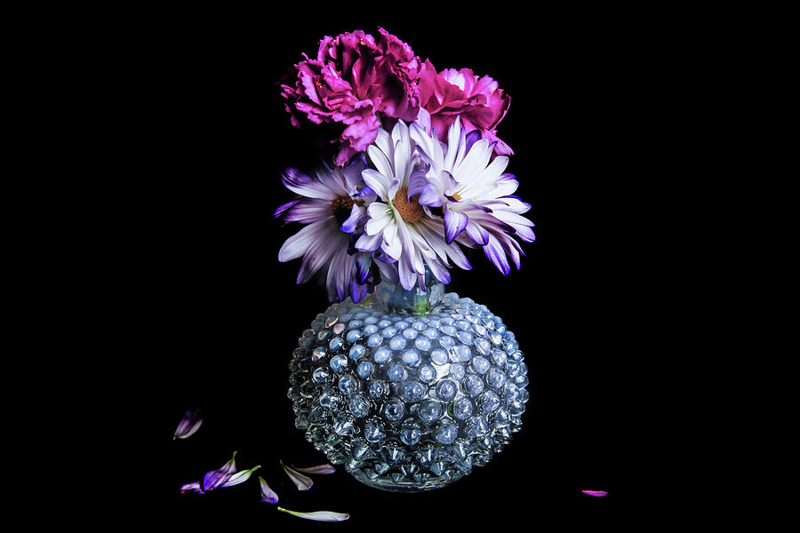 Hobnail, Daisies and Carnations Photograph by Sally Bauer