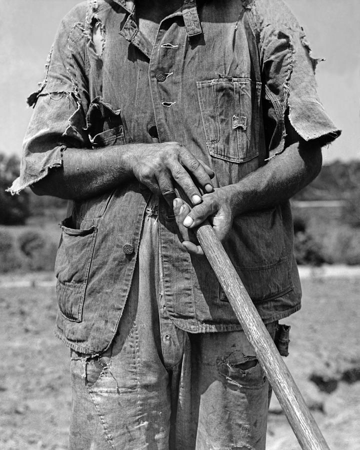 Dorothea Lange Hoe Culture Alabama Tenant Farmer 1936 Photograph Photograph by Orchard Arts