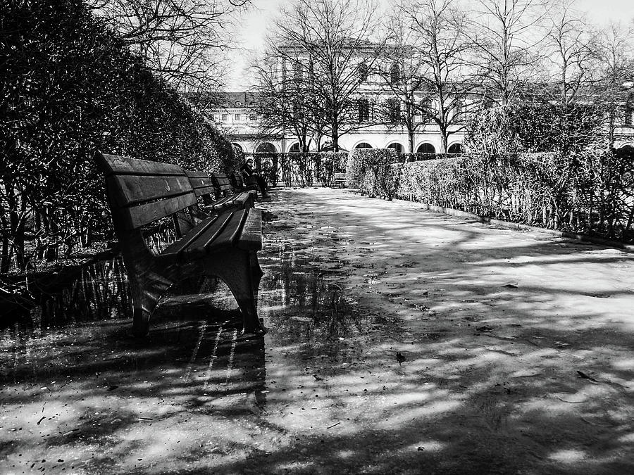 Hofgarten Photograph by Ross Henton