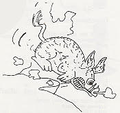 Hog Fury Drawing by Julia Woodman