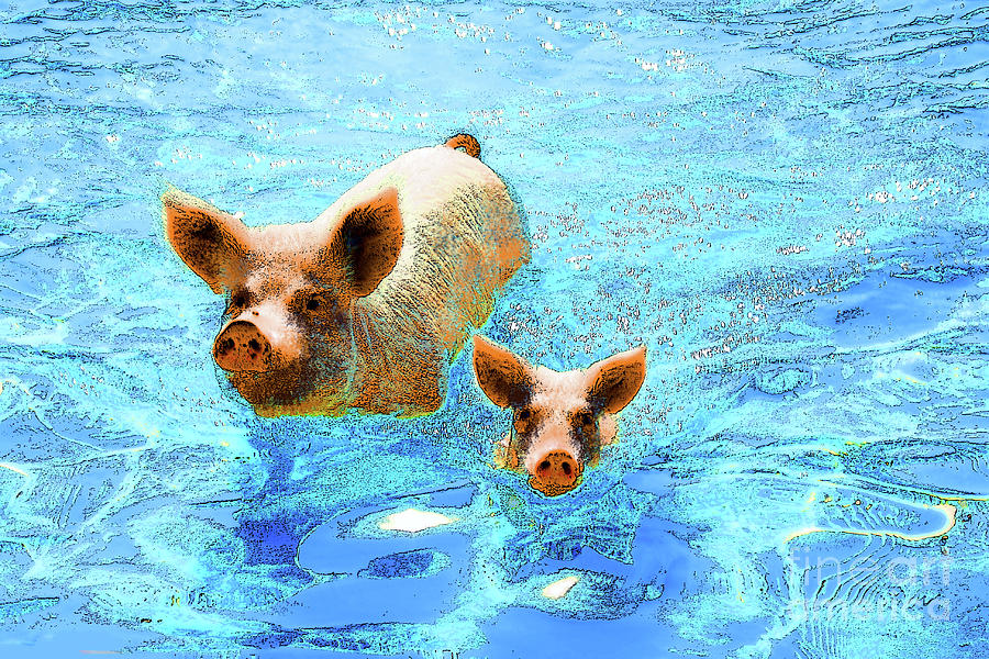 Hog Photograph - Hog Heaven by Keri West Hog Photograph - Hog Heaven by Keri West