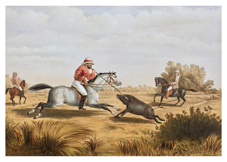 Hog Hunting in Lower Bengal 1 Drawing by Percy Carpenter