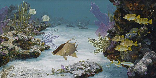 Florida Keys Painting - Hog Wild by BJ Royster