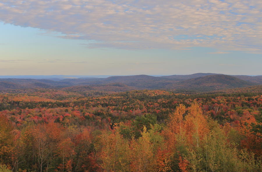 Southern Green Mountain Fall Foliage from Hogback Mountain Photograph by John Burk