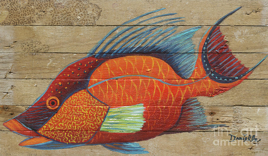 Hogfish Painting by Danielle Perry
