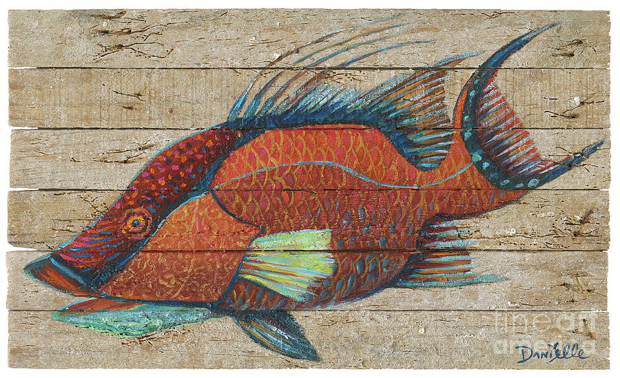 Hogfish on Lobster Trap Wood Painting by Danielle Perry