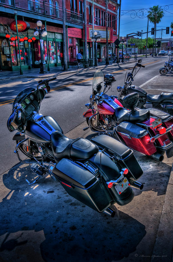 Tampa Photograph - Hogs On 7th Ave by Marvin Spates