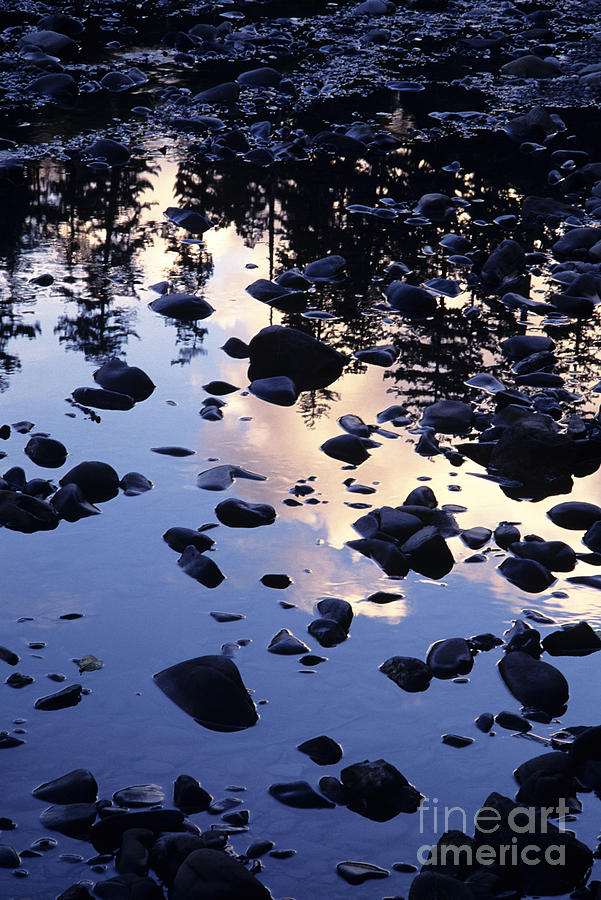 Hoh River Reflections Photograph by Greg Vaughn - Printscapes