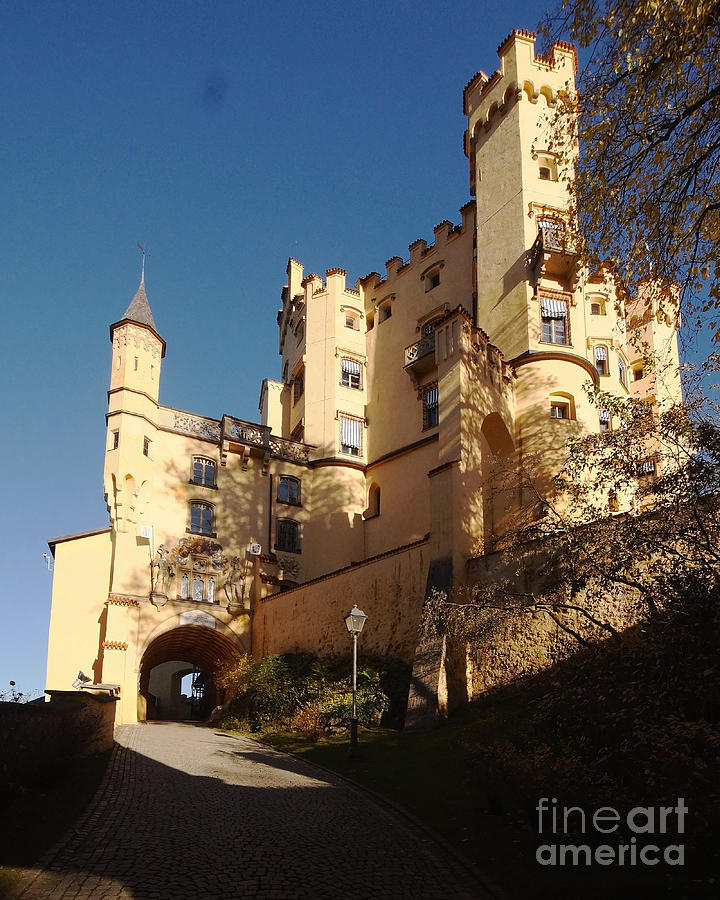 Hohenschwangau castle 6 Photograph by Rudi Prott