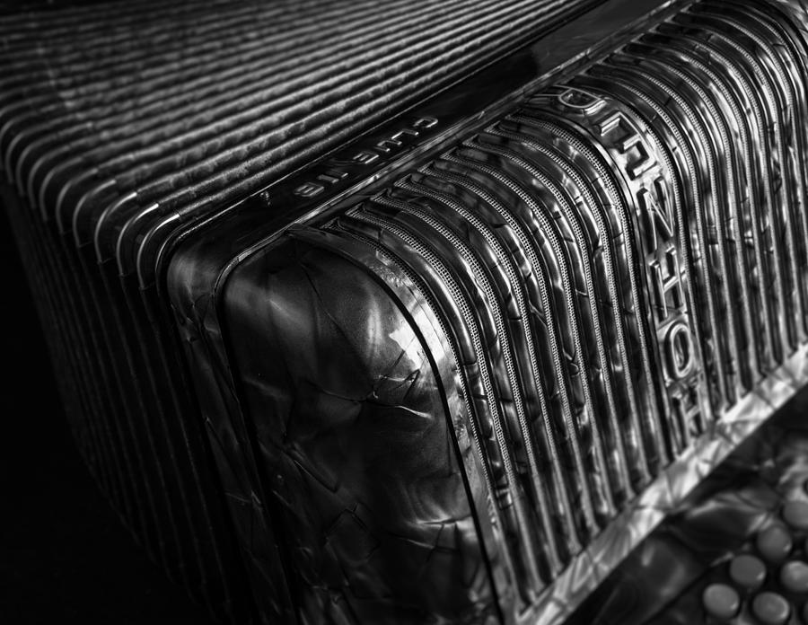 Hohner Accordion 1  Photograph by Michael Demagall