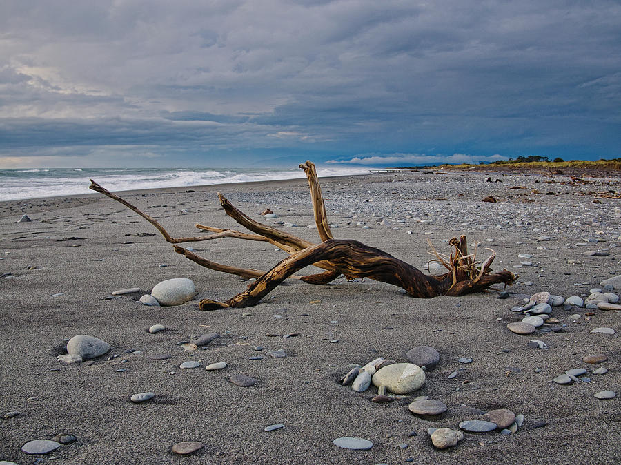 Hokitika Beach - Driftwood - New Zealand Photograph by Steven Ralser
