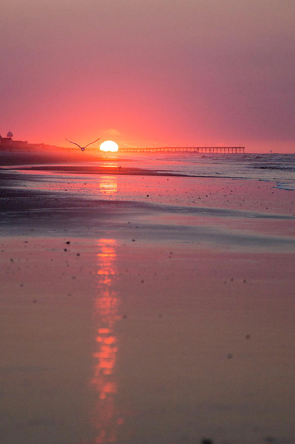 Holden Sunrise Photograph by Alan Raasch