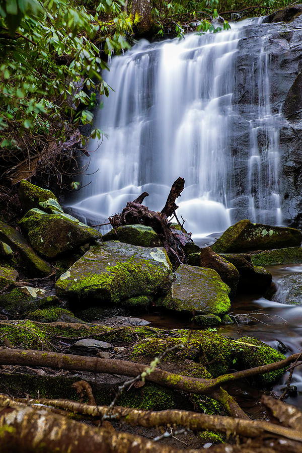 verticle waterfall images with trees verticle waterfall images with trees