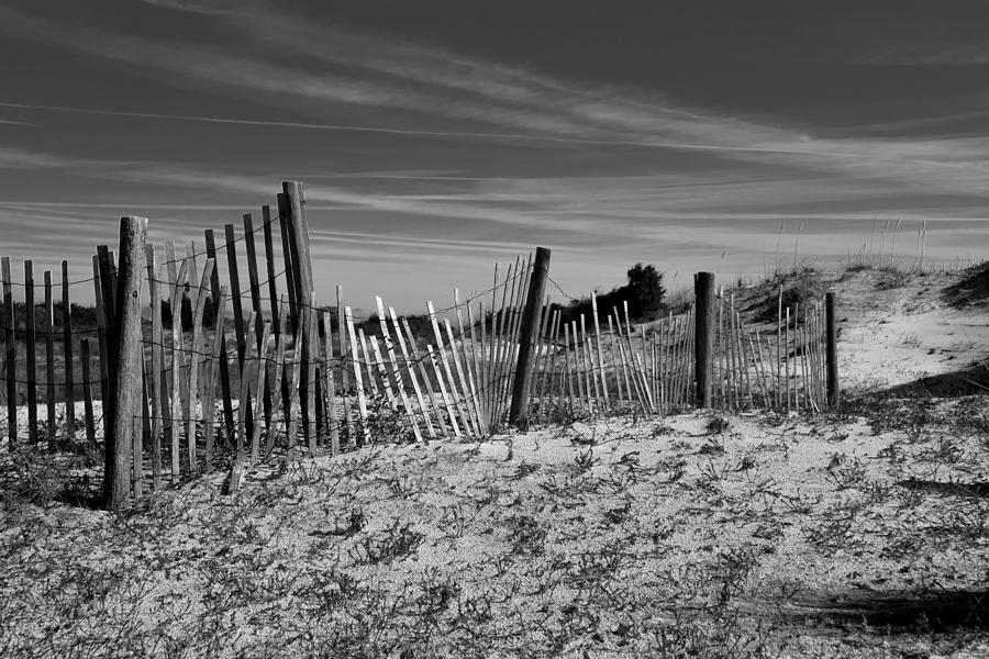 Holding Back The Dunes In Black And White Photograph