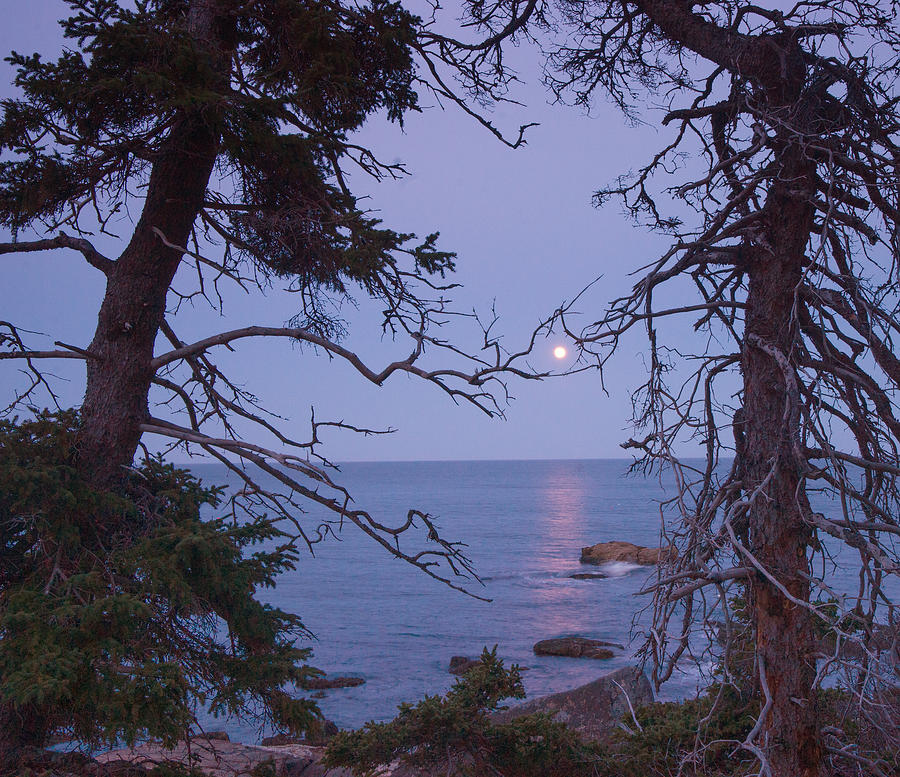 Holding On to the Moon Photograph by Darylann Leonard Photography