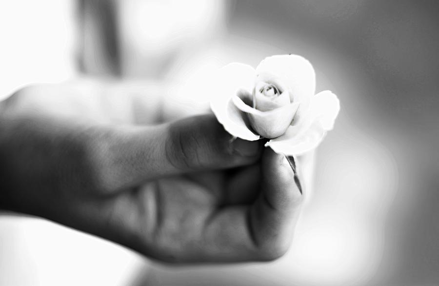 Holding Small Flower Photograph by Serena King