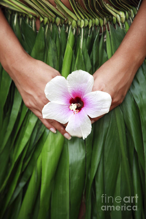 Holding the Hibiscus Photograph by Brandon Tabiolo - Printscapes