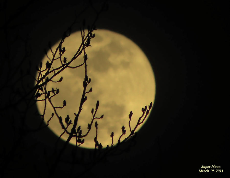 Holding Up The Super Moon Photograph by Sandi OReilly