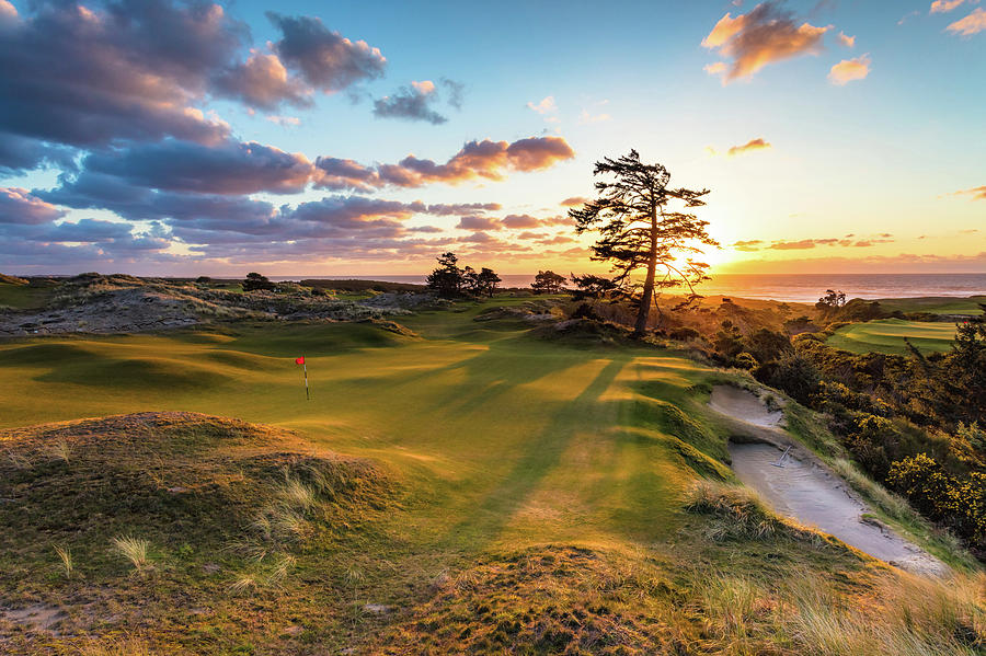 Hole 11 Bandon Preserve Golf Course Photograph by Mike Centioli