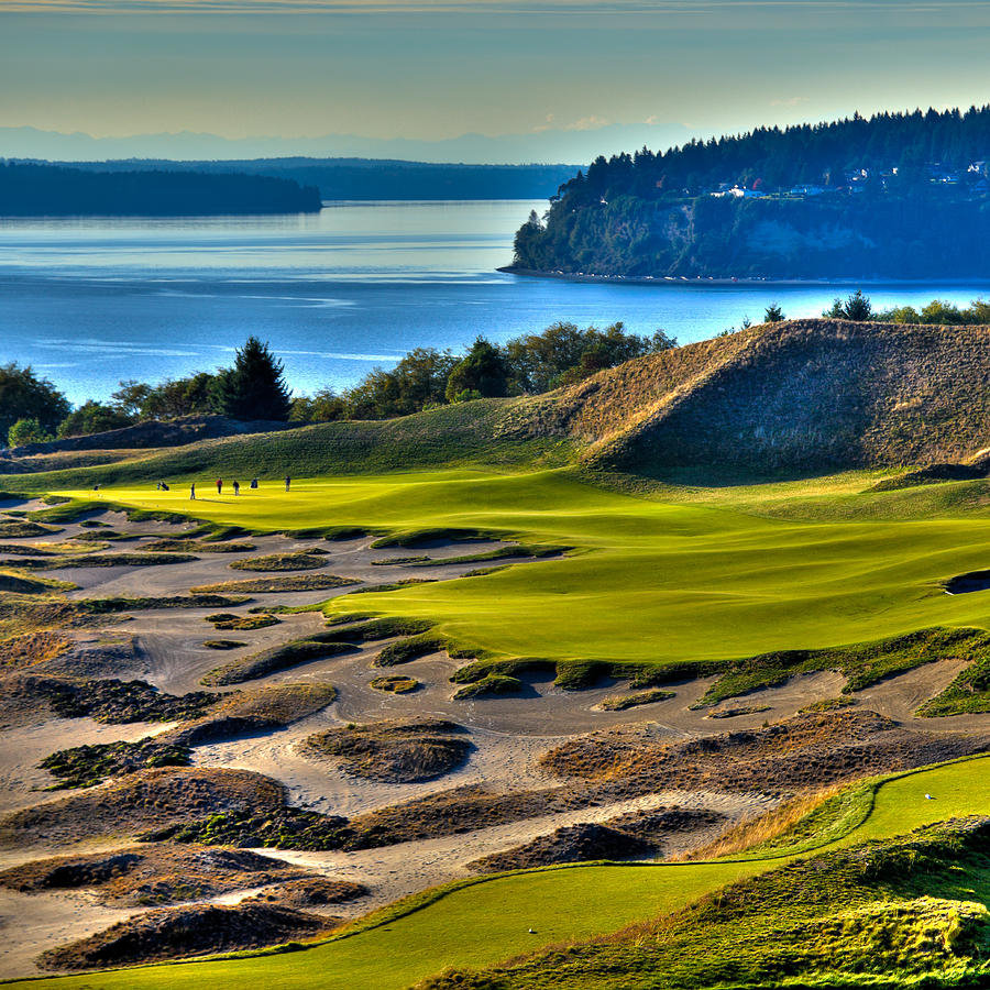 Golf Photograph - Hole #14 - Cape Fear - at Chambers Bay by David Patterson