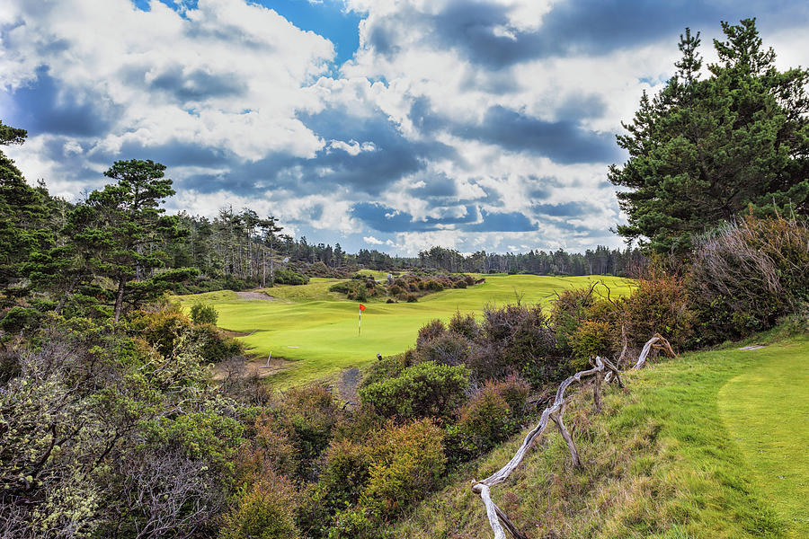 Hole 4 Bandon Trails Golf Course Photograph by Mike Centioli