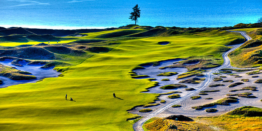 Hole #5 at Chambers Bay Golf Course Photograph by David Patterson