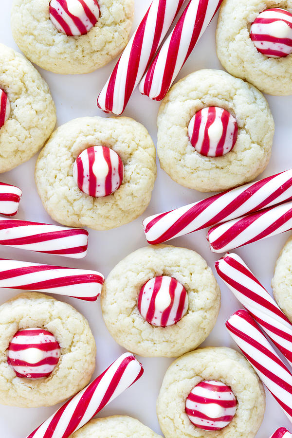 Cookie Photograph - Holiday Candy Cane Cookies by Teri Virbickis