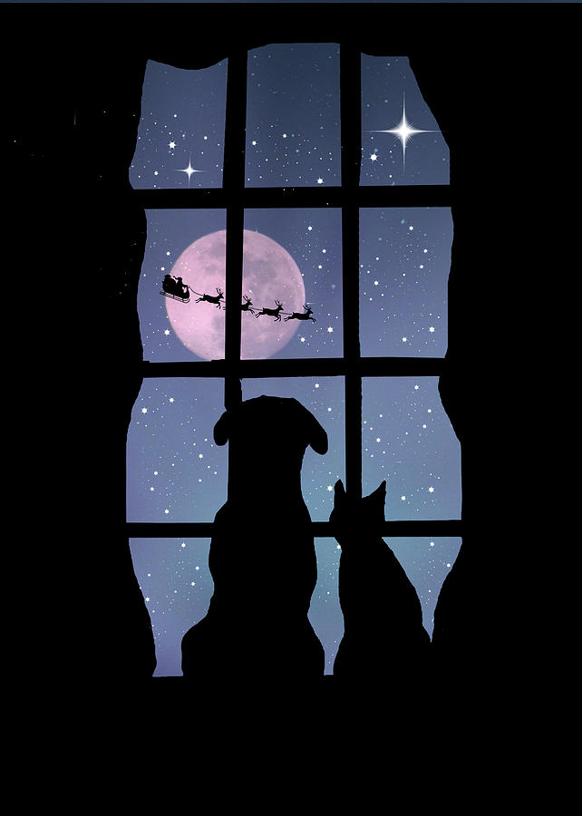 holiday-cute-dog-and-cat-in-window-watching-santa-stephanie-laird.jpg