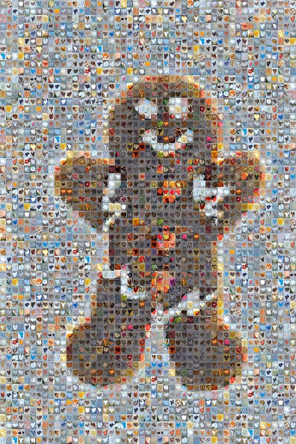 Holiday Hearts Gingerbread Man Photograph by Boy Sees Hearts