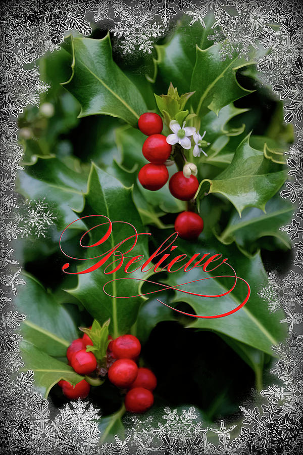 Holiday Holly Believe Photograph by Wes and Dotty Weber