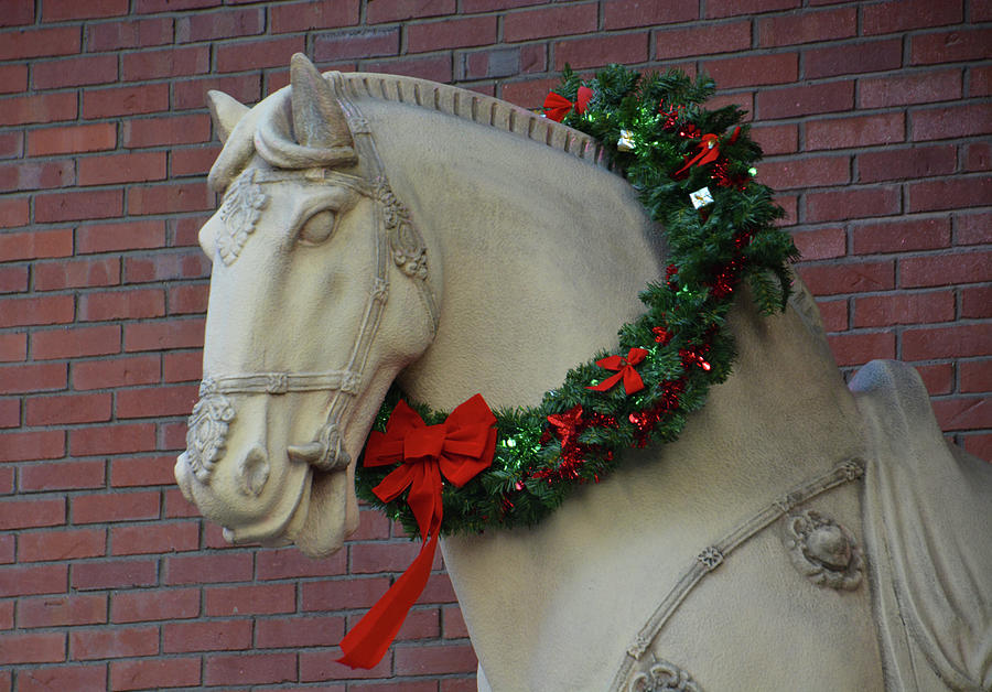 Holiday Horse Photograph by Mike Martin