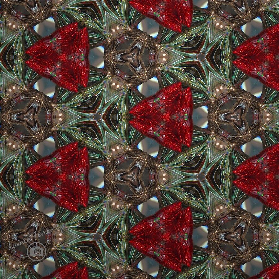 Pattern Photograph - Holiday Kaleidoscope by Susan Ferency