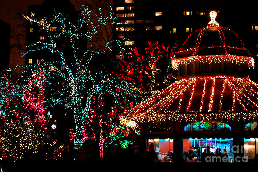 Holiday Lights at Lincoln Park Zoo Photograph by Nancy Mueller