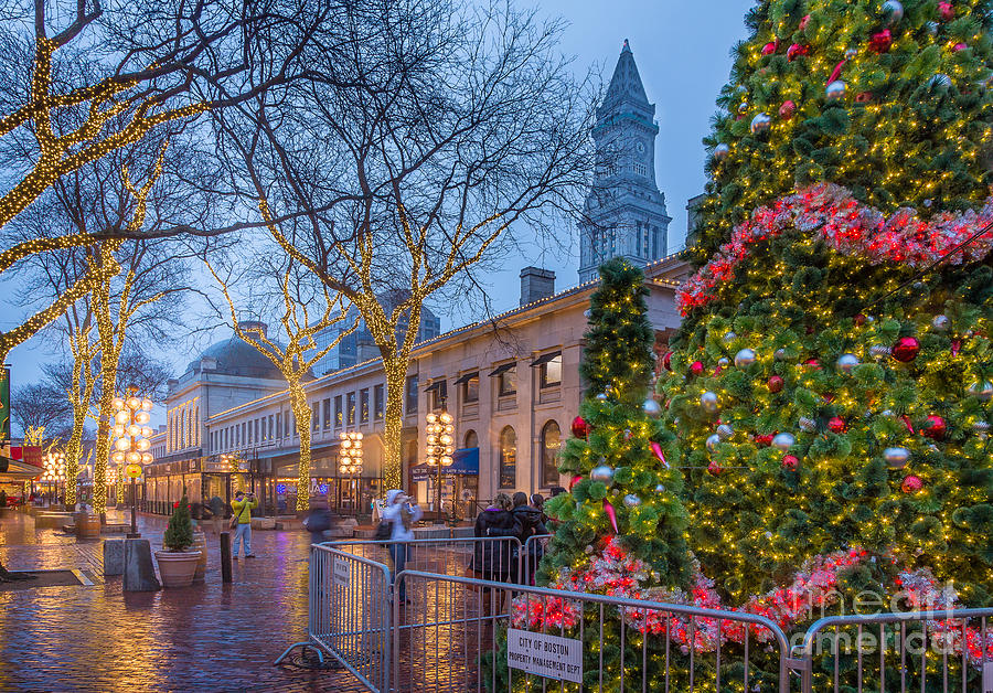Holiday Lights at Quincy Market Photograph by Susan Cole Kelly