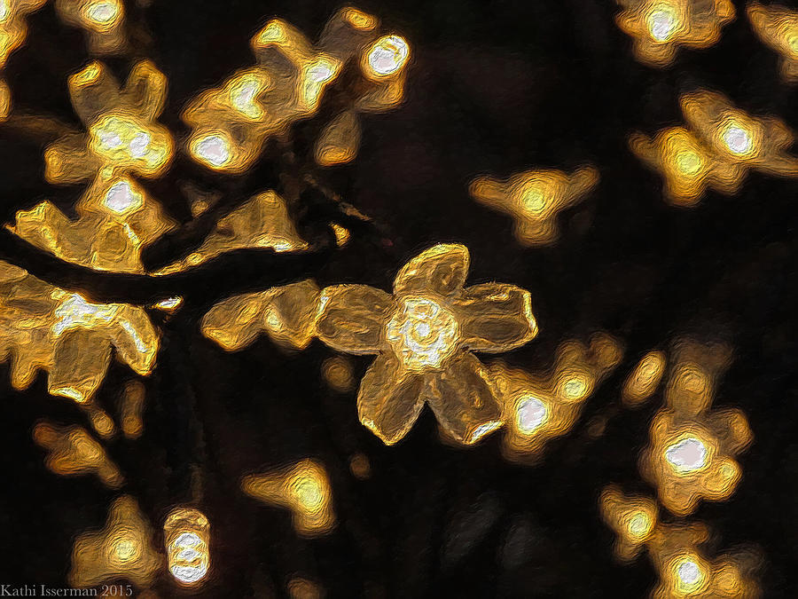 Holiday Lights I Photograph by Kathi Isserman