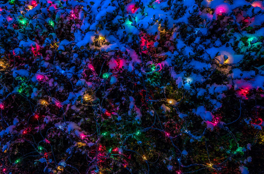 Holiday Lights in Snow Photograph by Allin Sorenson