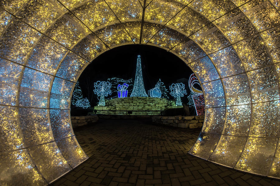 Holiday lights tunnel Photograph by Sven Brogren