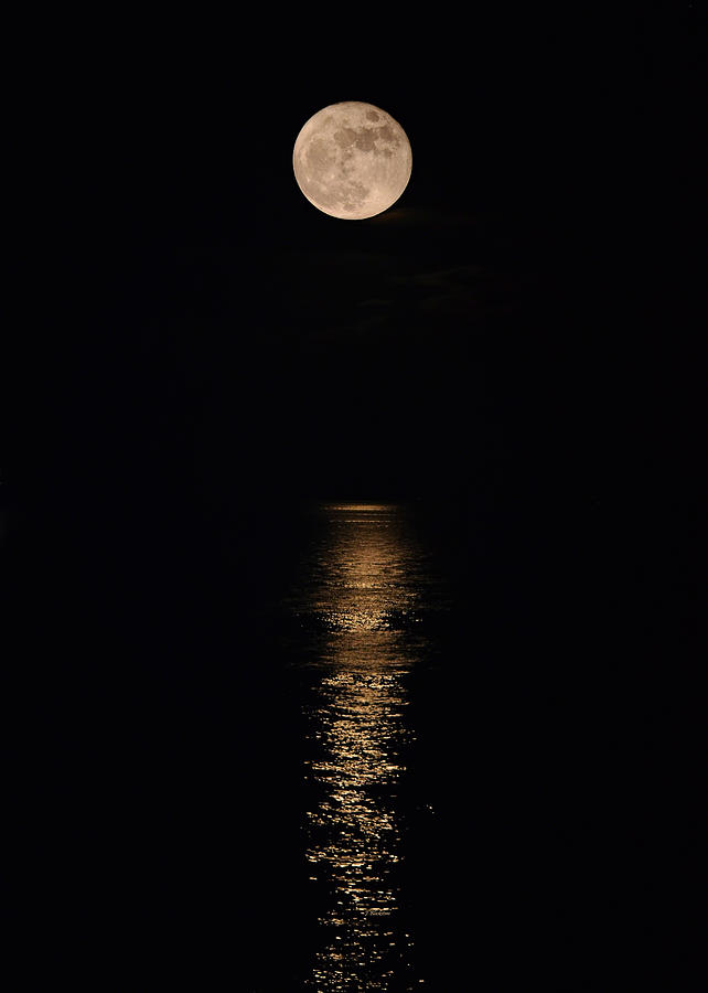 Holiday Magic - Lunar Art Photograph by Jordan Blackstone