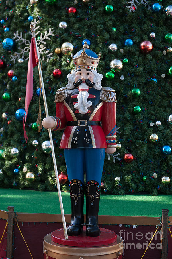 Holiday Nutcracker Photograph by Dale Powell