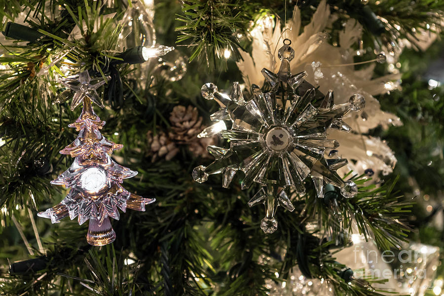 Holiday Ornaments Photograph by Jennifer White
